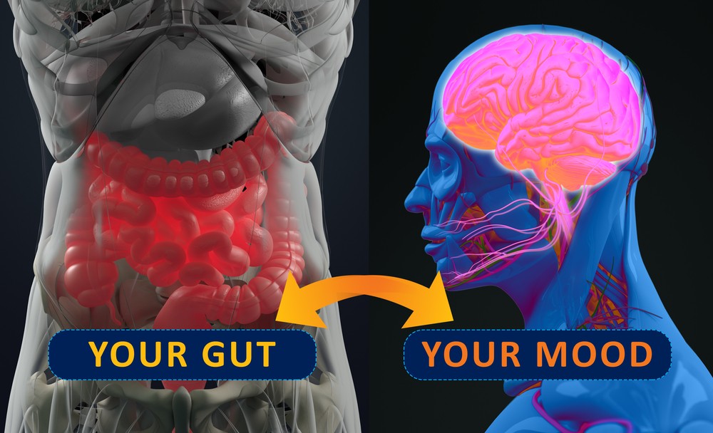 Notre intestin est plus bavard que notre cerveau !
