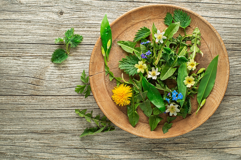 Healthy,Spring,Plants,Food,Ingredients.,DandelionWild,Garlic,,Flowers,And