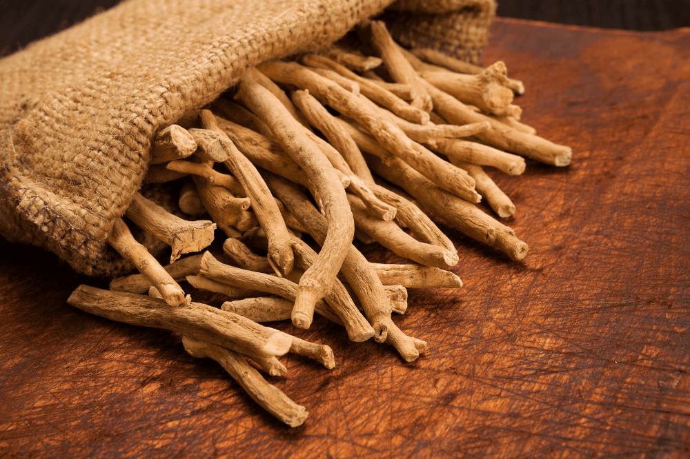 L’ashwagandha : un véritable trésor de la nature !